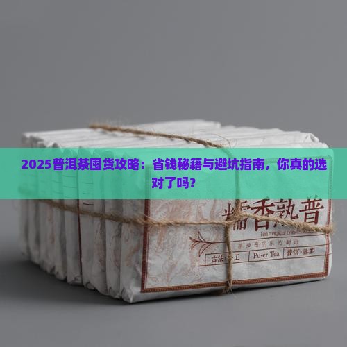 普洱茶囤货推荐