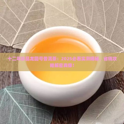 十二年珍品龙圆号普洱茶