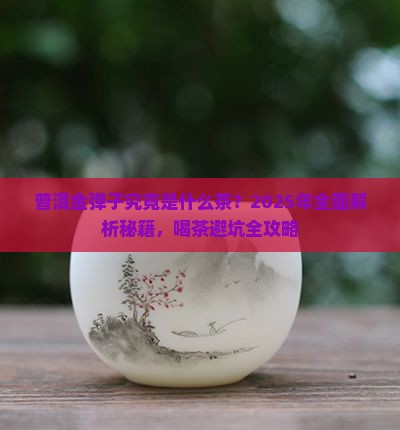 普洱金弹子是什么茶