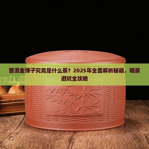 普洱金弹子是什么茶