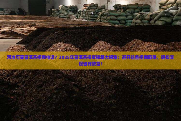 河池可靠普洱茶招商电话