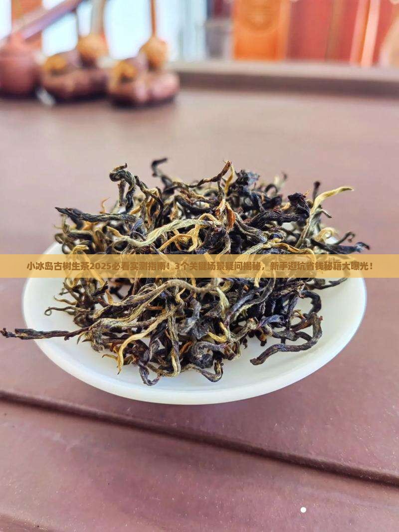 小冰岛古树生茶
