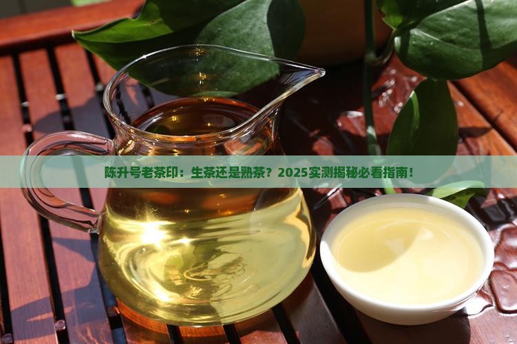 陈升号老茶印是生茶还是熟茶