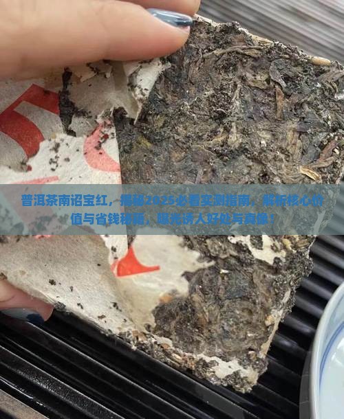 普洱茶南诏宝红
