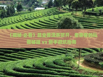 昌业普洱茶贺开