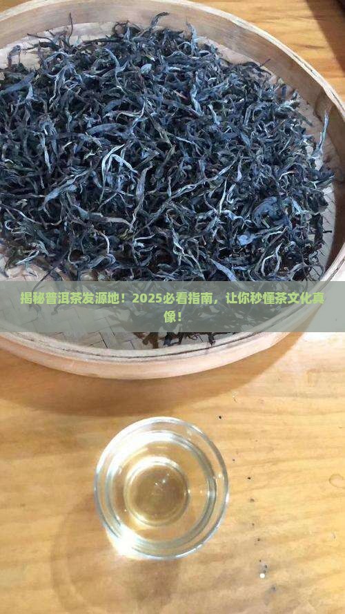 普洱茶的发源地