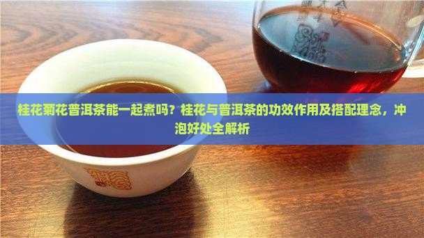 桂花菊花普洱茶
