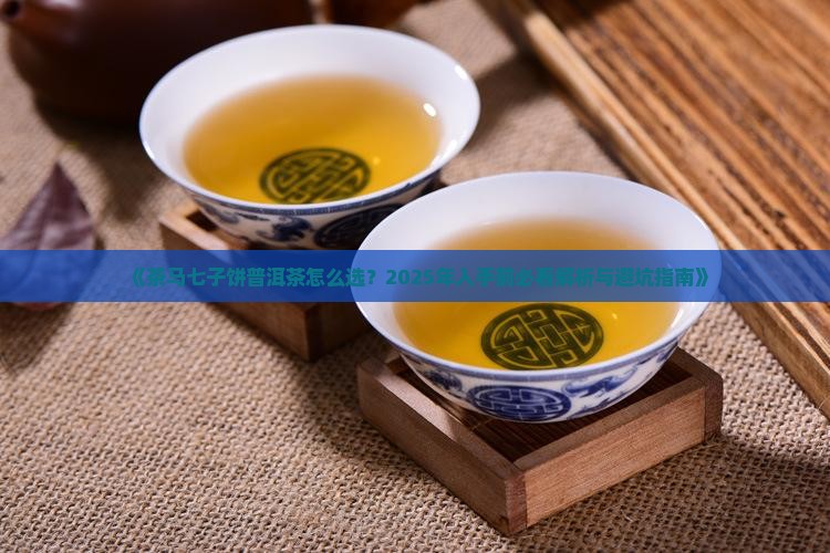 茶马七子饼普洱茶