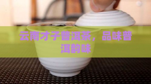 云南才子普洱茶
