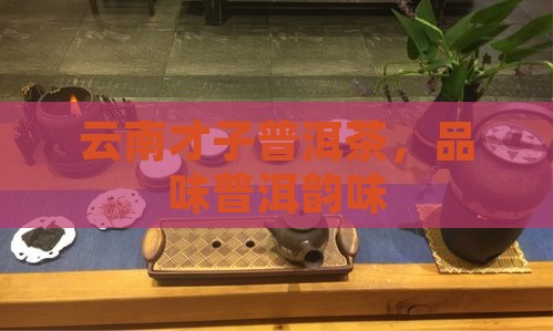云南才子普洱茶