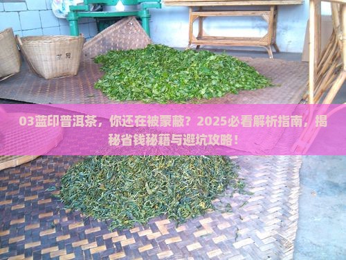03蓝印普洱茶