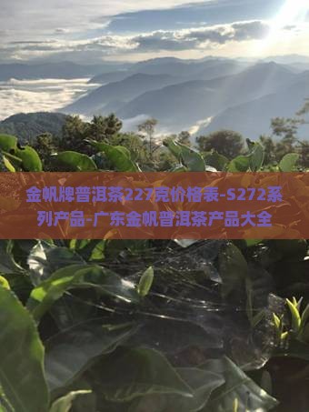 金帆牌普洱茶227克