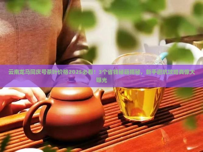 云南龙马同庆号茶叶价格