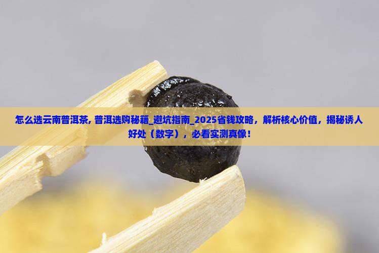 怎么选云南普洱茶