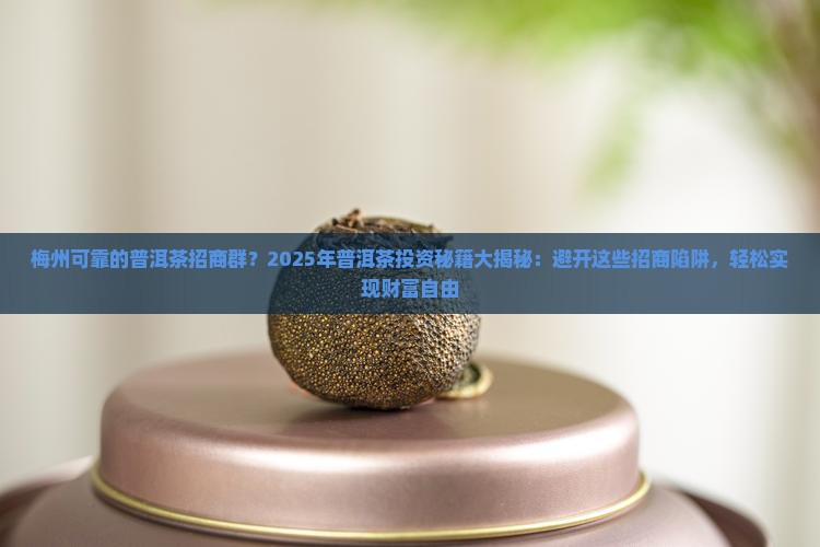 梅州可靠的普洱茶招商群