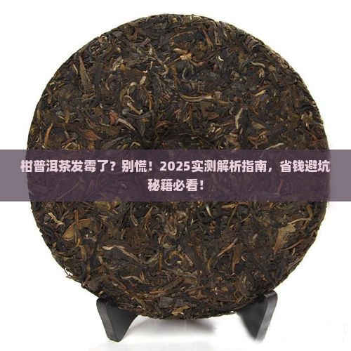 柑普洱茶里面发霉