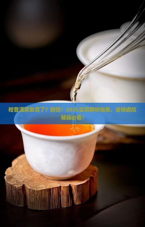柑普洱茶里面发霉
