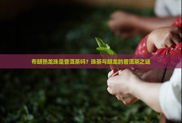 布朗熟龙珠是普洱茶吗