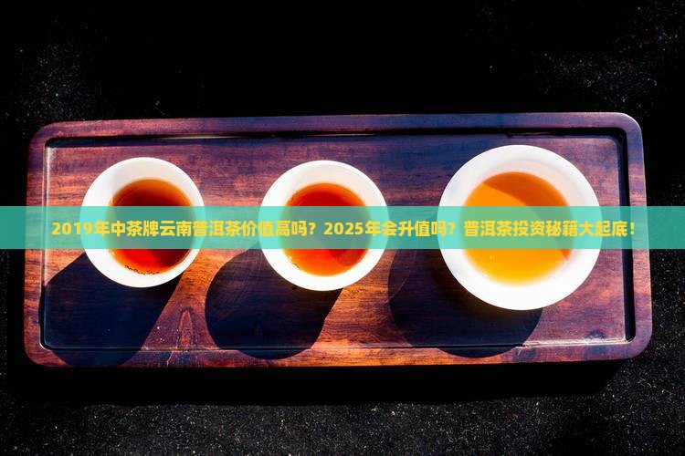 中茶牌云南普洱茶2019年
