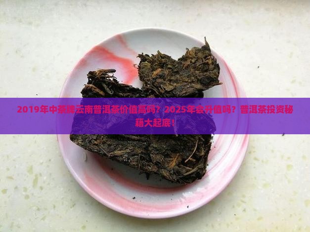 中茶牌云南普洱茶2019年