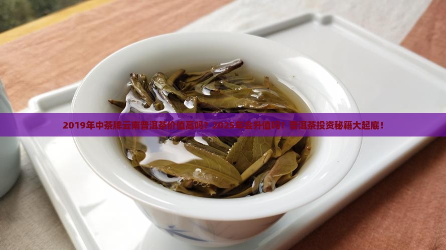 中茶牌云南普洱茶2019年