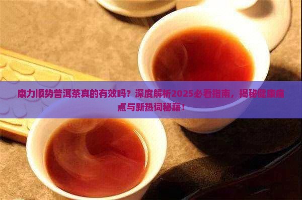康力顺势普洱茶