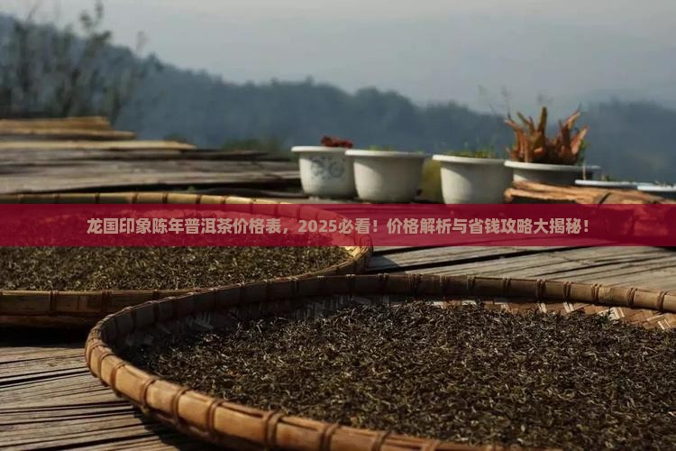 龙国印象陈年普洱茶价格表