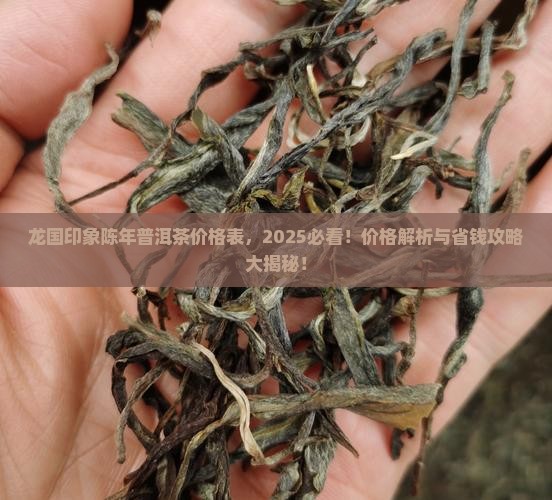 龙国印象陈年普洱茶价格表