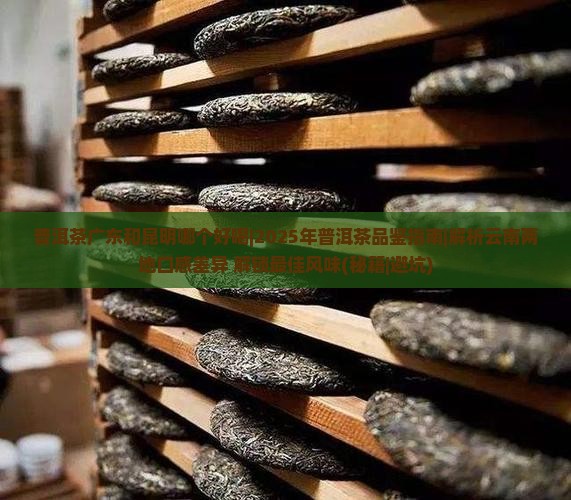 普洱茶广东和昆明哪个好喝