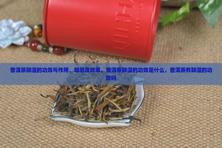 普洱茶除湿的功效