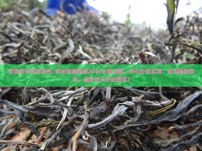 普洱茶中生物活性