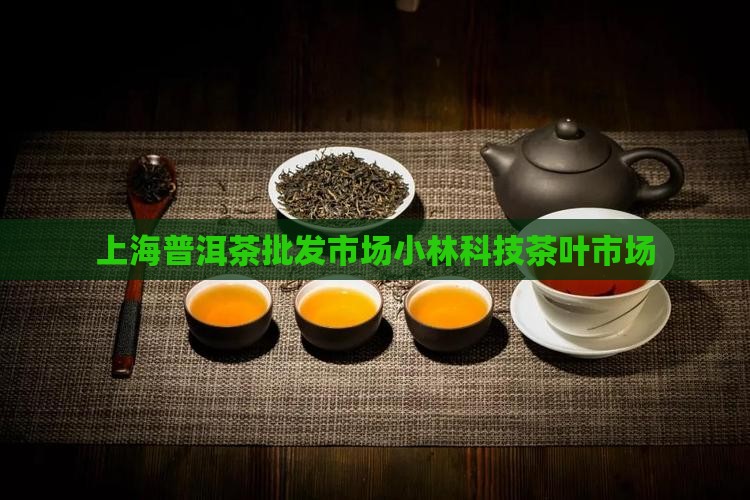 上海普洱茶批发市场