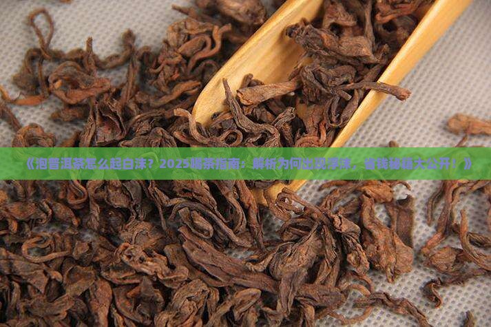 泡普洱茶怎么起白沫