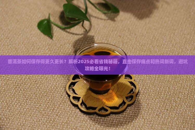 普洱茶如何保存得更久更长