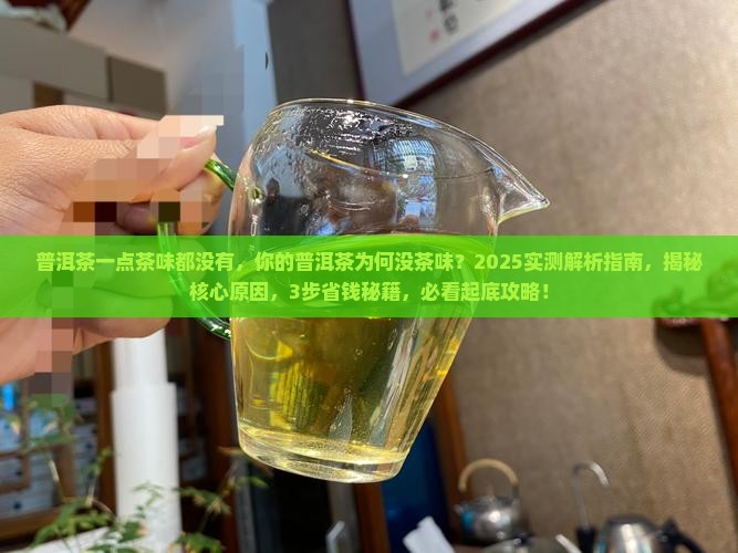 普洱茶一点茶味都没有