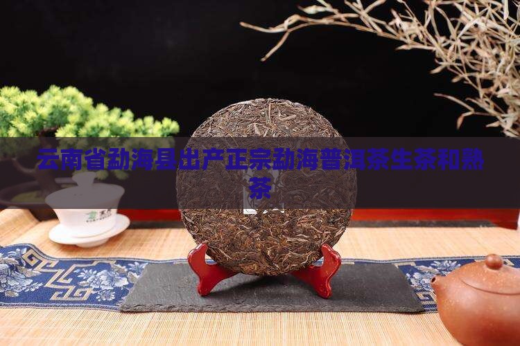 勐海普洱茶生茶熟茶