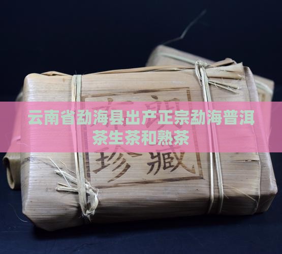 勐海普洱茶生茶熟茶