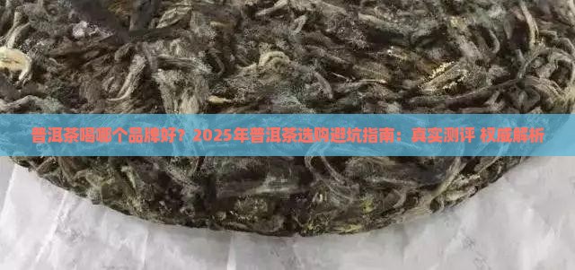 普洱茶喝哪个品牌好