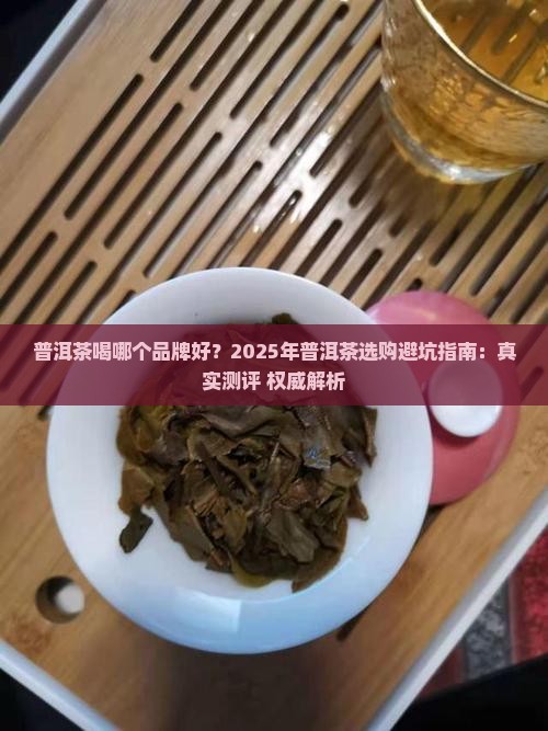 普洱茶喝哪个品牌好