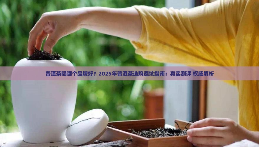 普洱茶喝哪个品牌好