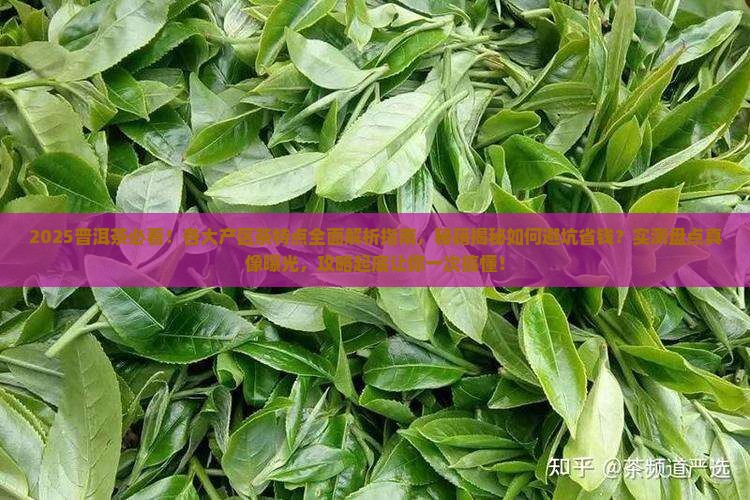 普洱茶各大产区茶特点