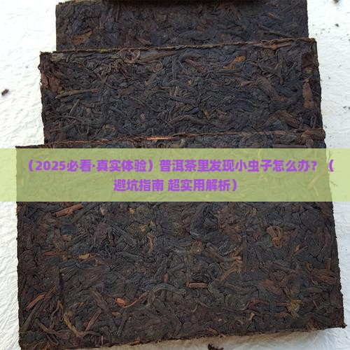普洱茶小虫子怎么处理