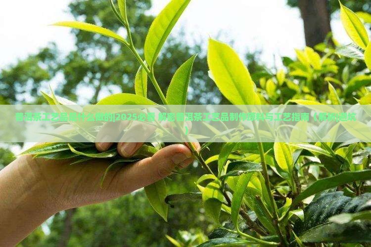 普洱茶工艺品是什么做的