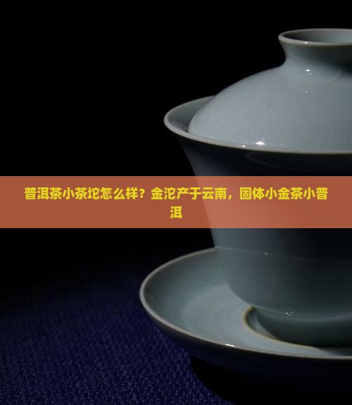 普洱茶小茶坨怎么样