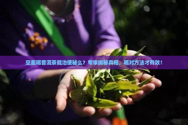 空腹喝普洱茶能治便秘么