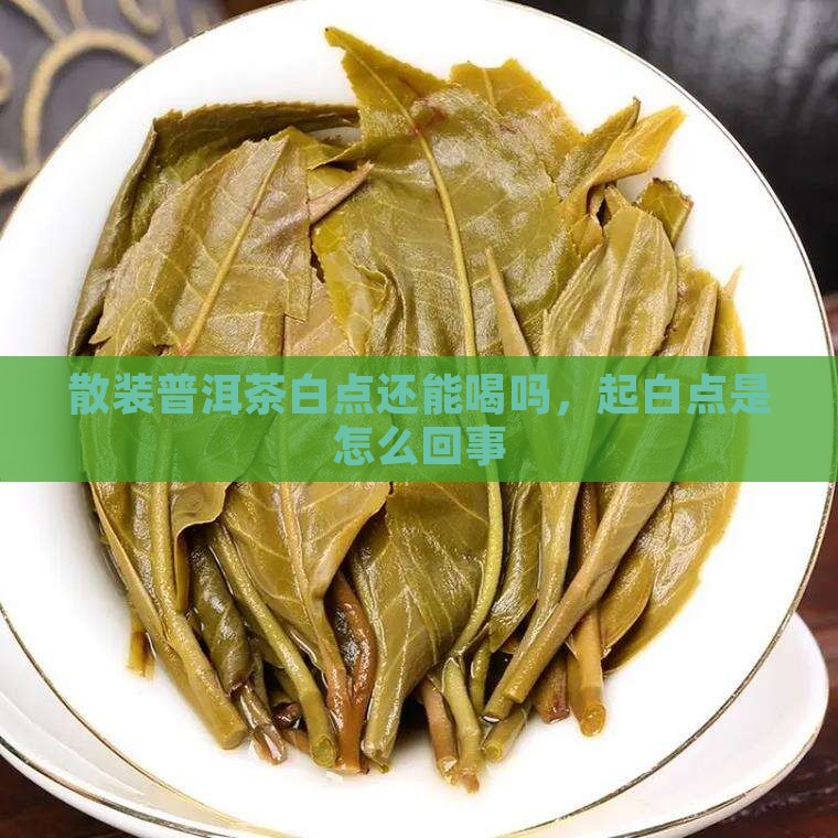 散装普洱茶白点