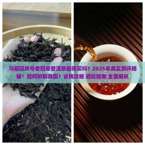 马帮同庆号老班章普洱茶