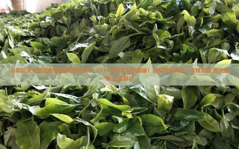 马帮同庆号老班章普洱茶