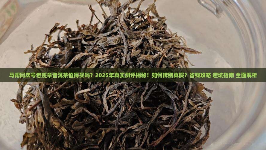 马帮同庆号老班章普洱茶
