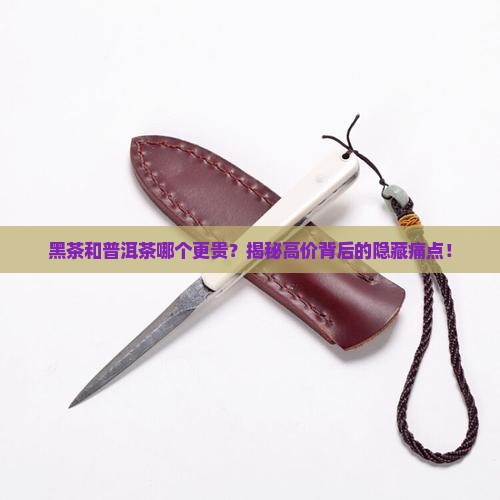 黑茶个普洱茶哪个贵